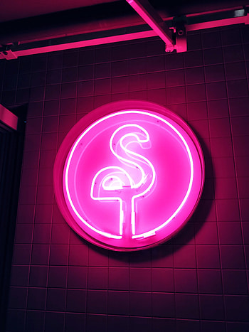 Pink, Flamingo, Miscellanea, Miscellaneous, Neon, Glow, Sign, Signboard, Electricity HD phone wallpaper