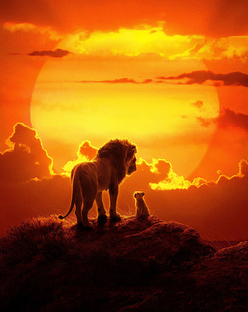 The lion king, lion and cub, 2019 movie HD phone wallpaper