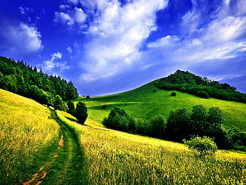 Path through the meadow, golden, hills, path, slope, meadow, beautiful, grass, mountain, summer, field, green, yellow, clouds, trees, nature, sky HD wallpaper