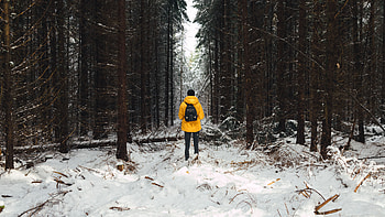 Winter, Nature, Trees, Snow, Forest, Human, Person HD wallpaper