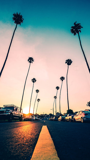 Riverside California, Road, Palm trees, Cars HD phone wallpaper