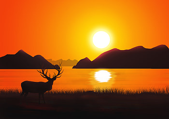 Reindeer Landscape Scenery, reindeer, deer, scenery, landscape, artist, artwork, digital-art, behance HD wallpaper