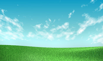 Pokemon grass background , Popular backgrounds, Pokemon-themed, Vibrant visuals HD wallpaper