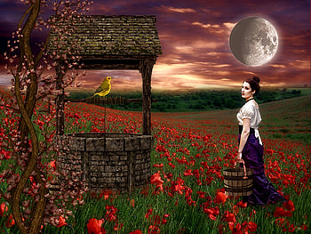 THE WELL AT DAWN, SKY, FLOWERS, FIELD, WELL, BIRD, POPPIES, FEMALE, MOON HD wallpaper