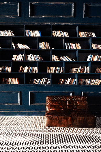 Books, Miscellanea, Miscellaneous, Room, Sofa, Library HD phone wallpaper