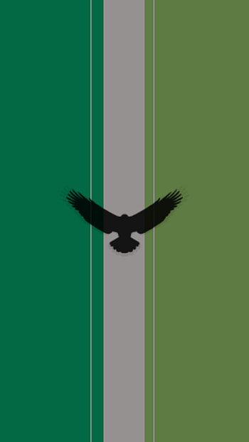 Eagle, Viento, Aguila, Libertad, beak, bird of prey, Ejercito, Libre, Volar, Militar, Military HD phone wallpaper