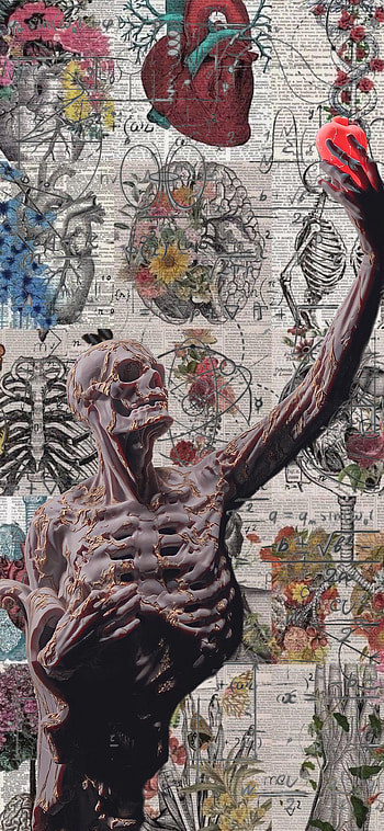 Art, Anatomia, Matematicas, human_body, Fisica, Filosofia, Medicina HD phone wallpaper