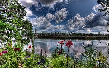 sping on the river, river, plants, clouds, trees, flowers, water HD wallpaper