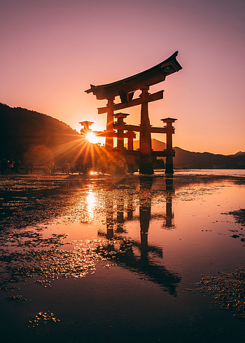 Sunset, Sun, Glare, Miscellanea, Miscellaneous, Sunlight, Shinto HD phone wallpaper