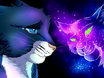 Cat, eyes, abstract, art HD wallpaper