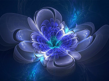 beautiful flower, background, abstract, 3d, flower HD wallpaper