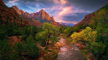 Zion NP, Utah, sunset, creek, colors, trees, clouds, sky, rocks, usa HD wallpaper