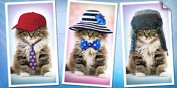 Kittens, kitten, animal, cute, tie, pisica, fantasy, luminos, hat, bow HD wallpaper