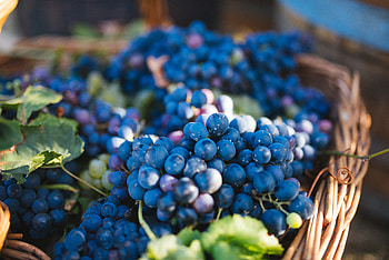Fruits, Food, Vine, Grapes, Berries HD wallpaper