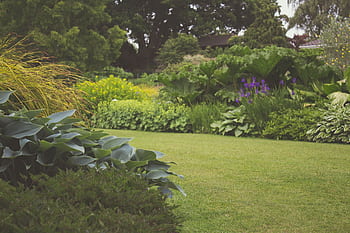 A lush backyard garden with vibrant plants and manicured lawn, ideal for a relaxing outdoor space. HD wallpaper