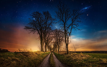 Sunset in Early Spring, trees, colors, sky, alley, road, stars HD wallpaper