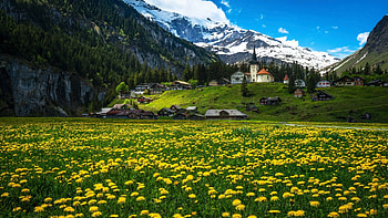 Urnerboden Valley, Canton Uri, Switzerland, village, wildflowers, landscape, sky, meadow, church, alps, mountains HD wallpaper