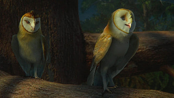 Legend of the Guardians, GaHoole owl illustrations, Animated adventure film, GaHoole heroes HD wallpaper