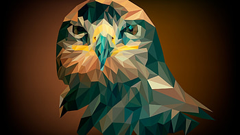 Artistic Owl, Abstract design, Full , Creative HD wallpaper