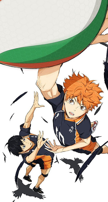 Haykiuu, Shoyo Hinata, Anime, Tobio Kageyama, Haikyuu HD phone wallpaper