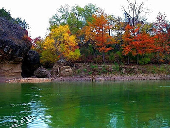 Fall Along the Medina River, Pipe Creek Texas, trees, river, autumn, water HD wallpaper