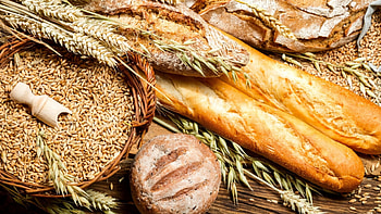 Wheat field background, Healthy food , High-quality , Bread lover's dream HD wallpaper