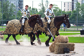 Joust, horses, black horses, hay, nature HD wallpaper