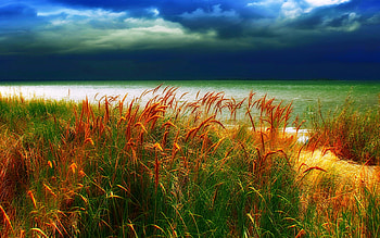 The Storm Arrives, Amrum Island, blue, sea, rain, beautiful, grass, yellow orange, green, clouds, sky, Germany, spikes HD wallpaper