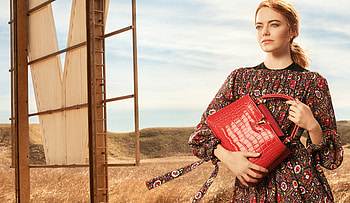 Emma Stone Lv hoot , emma-stone, celebrities, girls, hoot HD wallpaper