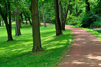 Walking Through The Park One Day, relaxing, walking, peaceful, serene, scenic park, park, tranquil HD wallpaper