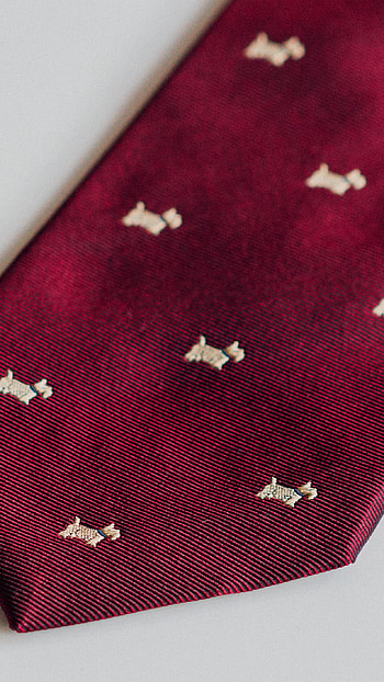 Gentleman - Red tie, Terriors fashion, Mannered HD phone wallpaper