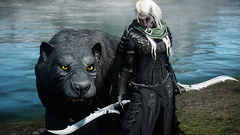 Legend of Drizzt, Drizzt, Guenhwyvar HD wallpaper
