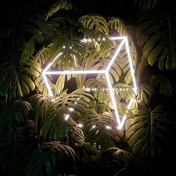 Neon, Leaves, Plant, Miscellanea, Miscellaneous, Glow, Cube HD phone wallpaper