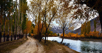 Lone Autumn Road, Water, Nature, Roads and Paths, Autumn HD wallpaper