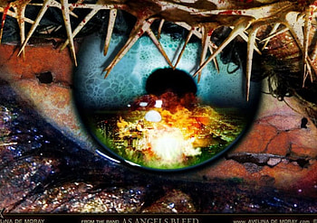 faith reflections, eyes, creepy HD wallpaper