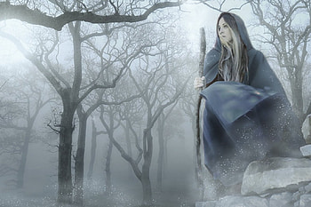Into the woods, woods, fantasy, women, frog, forest, dark HD wallpaper
