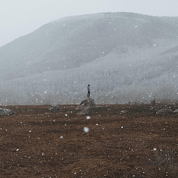 Nature, Snow, Snowflakes, Loneliness, Hill, Lonely, Alone HD phone wallpaper