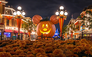 USA Disneyland Park House Pumpkins, USA, Disney Land, House, Pumpkins HD wallpaper
