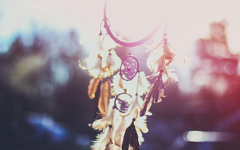 Miscellanea, Miscellaneous, Suspension, Wind, Dream Catcher, Dreamcatcher HD wallpaper