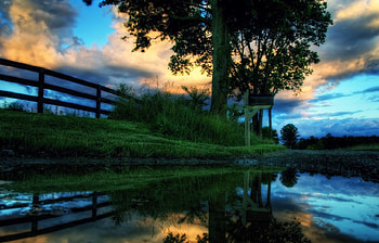 Reflections After The Rain, blue, beautiful, grass, green, fence, clouds, trees, sky, sunset HD wallpaper