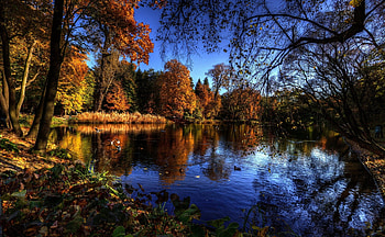 beautiful lake in autumn, reflection, autumn, dicks, forest, lake HD wallpaper