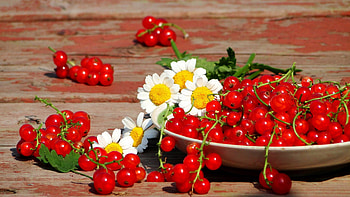 Food , Daily updates, Beautiful , background HD wallpaper