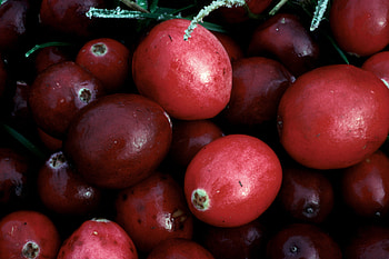 Cranberry , Food HQ, Rich colors, High-resolution HD wallpaper