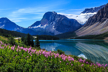 Landscape, Nature, Flowers, Trees, Mountains, Lake HD wallpaper