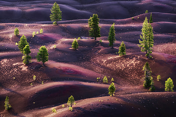 Mars Dream, mars, artist, artwork, digital-art HD wallpaper