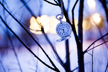 Winter, Clock, Miscellanea, Miscellaneous, Branches, Pocket Watch HD wallpaper