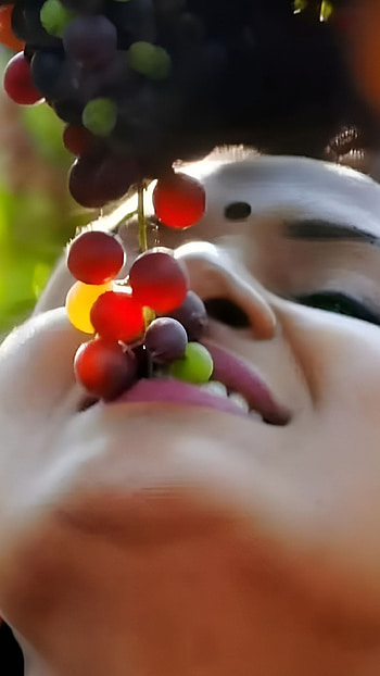 Nisha Sarang, neelu, malayalam actress HD phone wallpaper