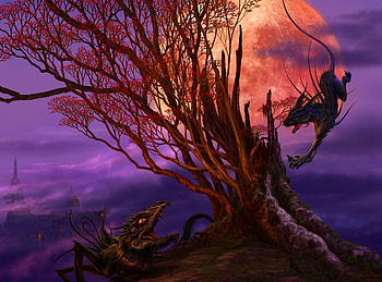 Fantasy, Moon, Wood, Cat, Tree, Dragon, Spider, Creatures HD wallpaper