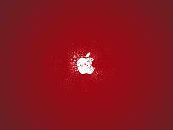 Brands, Background, Logos, Apple HD wallpaper