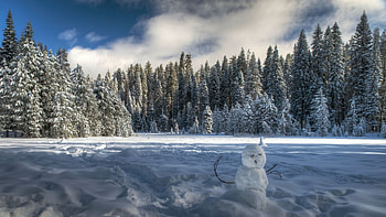 Snowman at Yosemite NP, California, usa, snow, clouds, landscape, trees, sky HD wallpaper